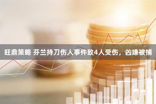 旺鼎策略 芬兰持刀伤人事件致4人受伤，凶嫌被捕
