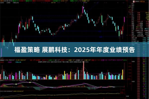 福盈策略 展鹏科技：2025年年度业绩预告